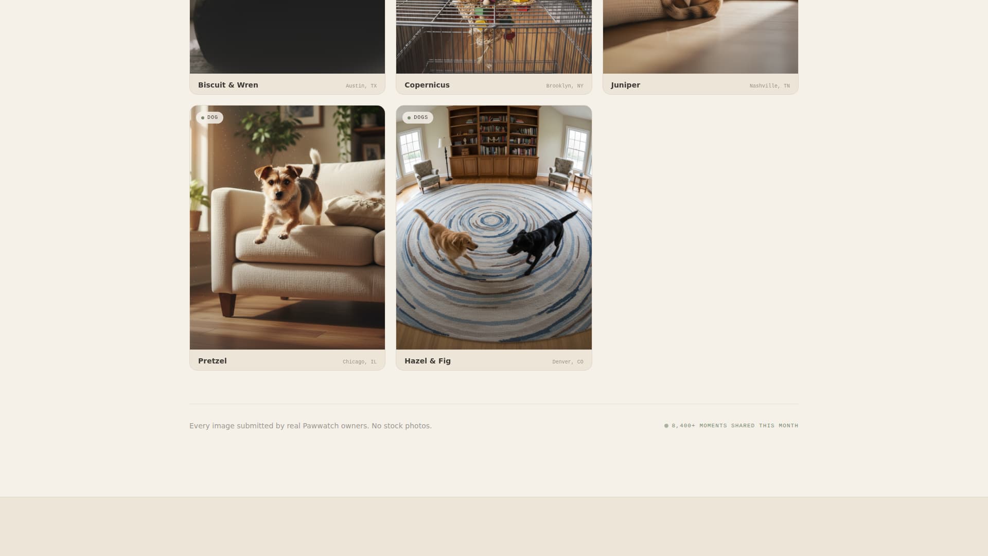Pawwatch - Serene Petcamera Landing Page Template