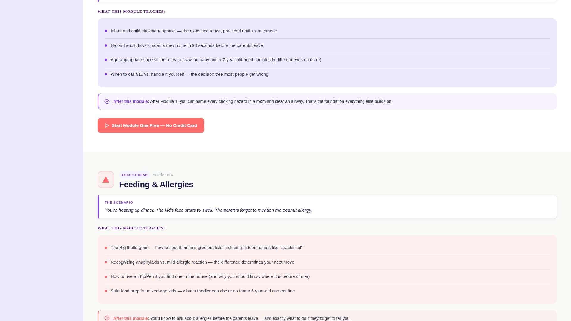 Certify - Playful Babysittercertification Landing Page Template