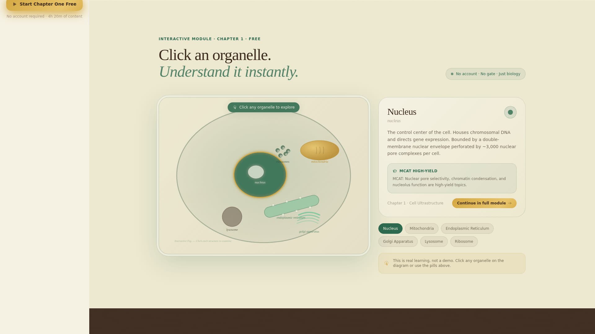 Phylum - Authoritative Biology Landing Page Template