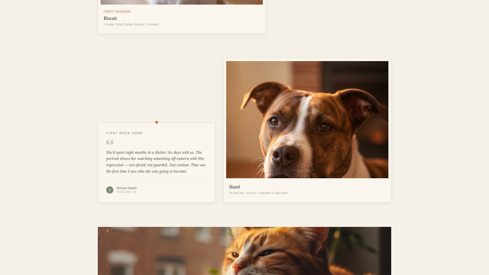 Muzzle - Heartfelt Petportrait Landing Page Template