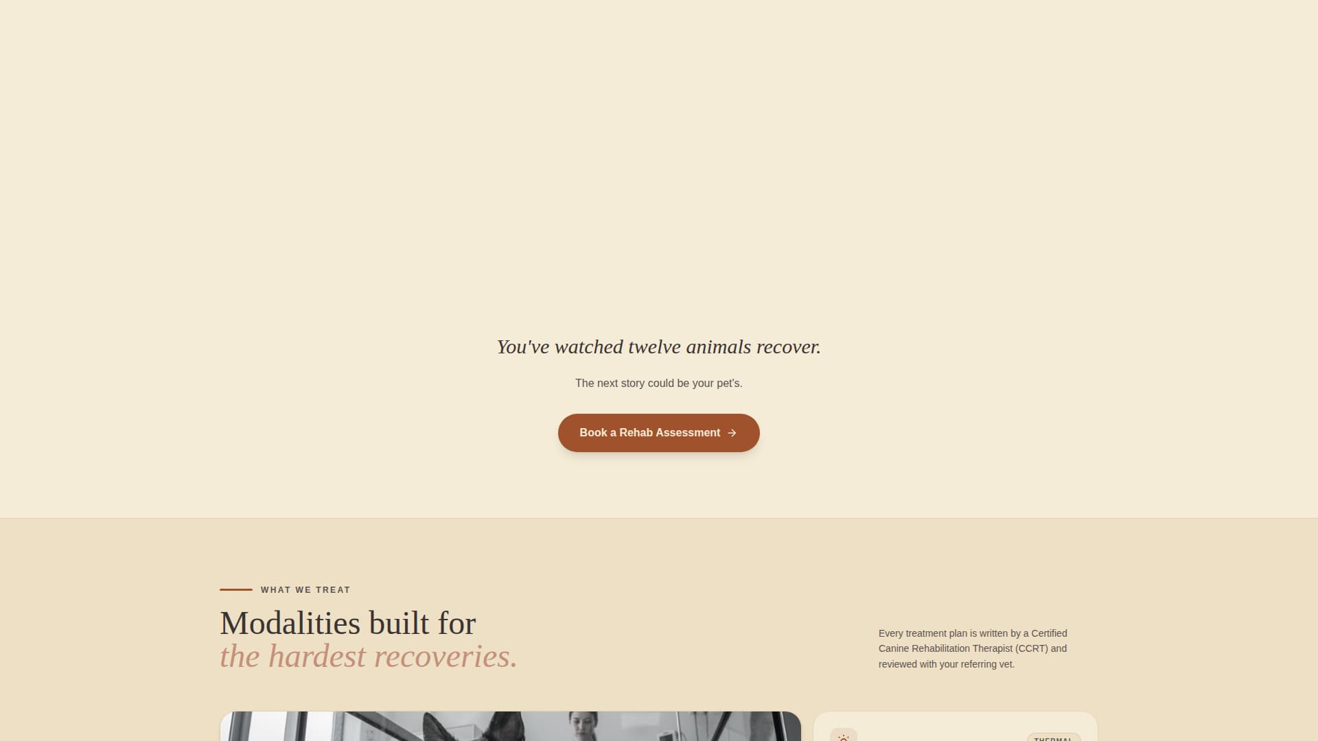 Mend - Trusted Petrehabilitation Landing Page Template