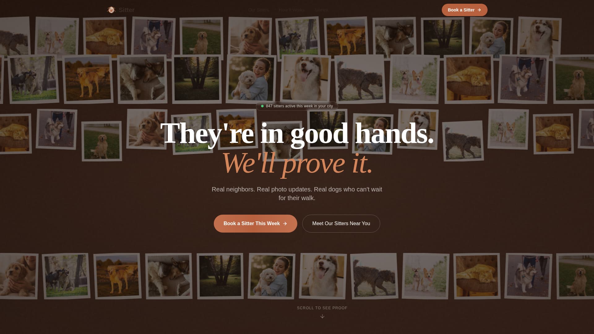 Sitter - Trusted Petsitting Landing Page Template