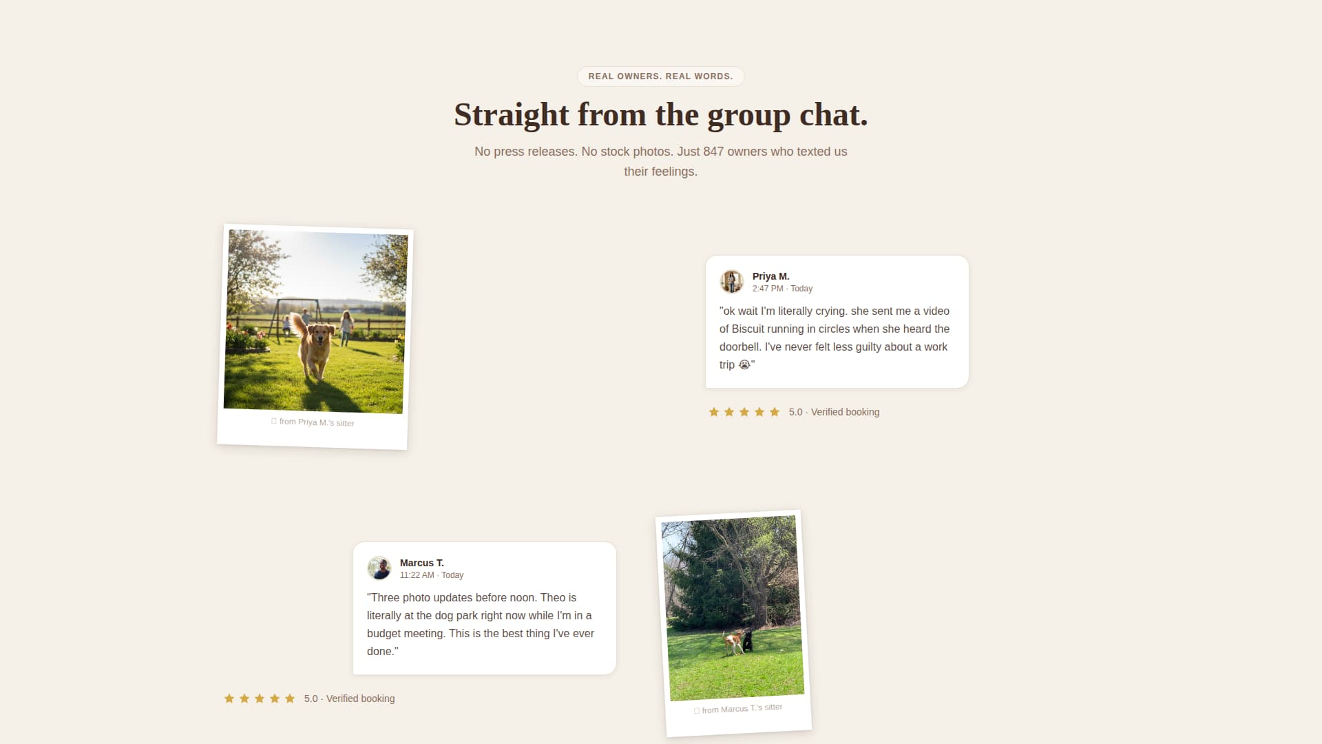 Sitter - Trusted Petsitting Landing Page Template