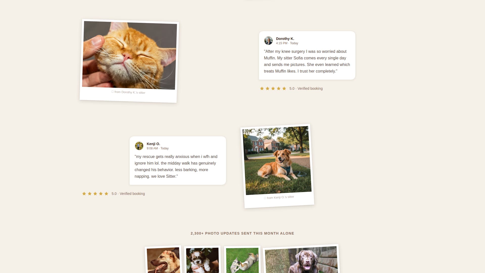 Sitter - Trusted Petsitting Landing Page Template