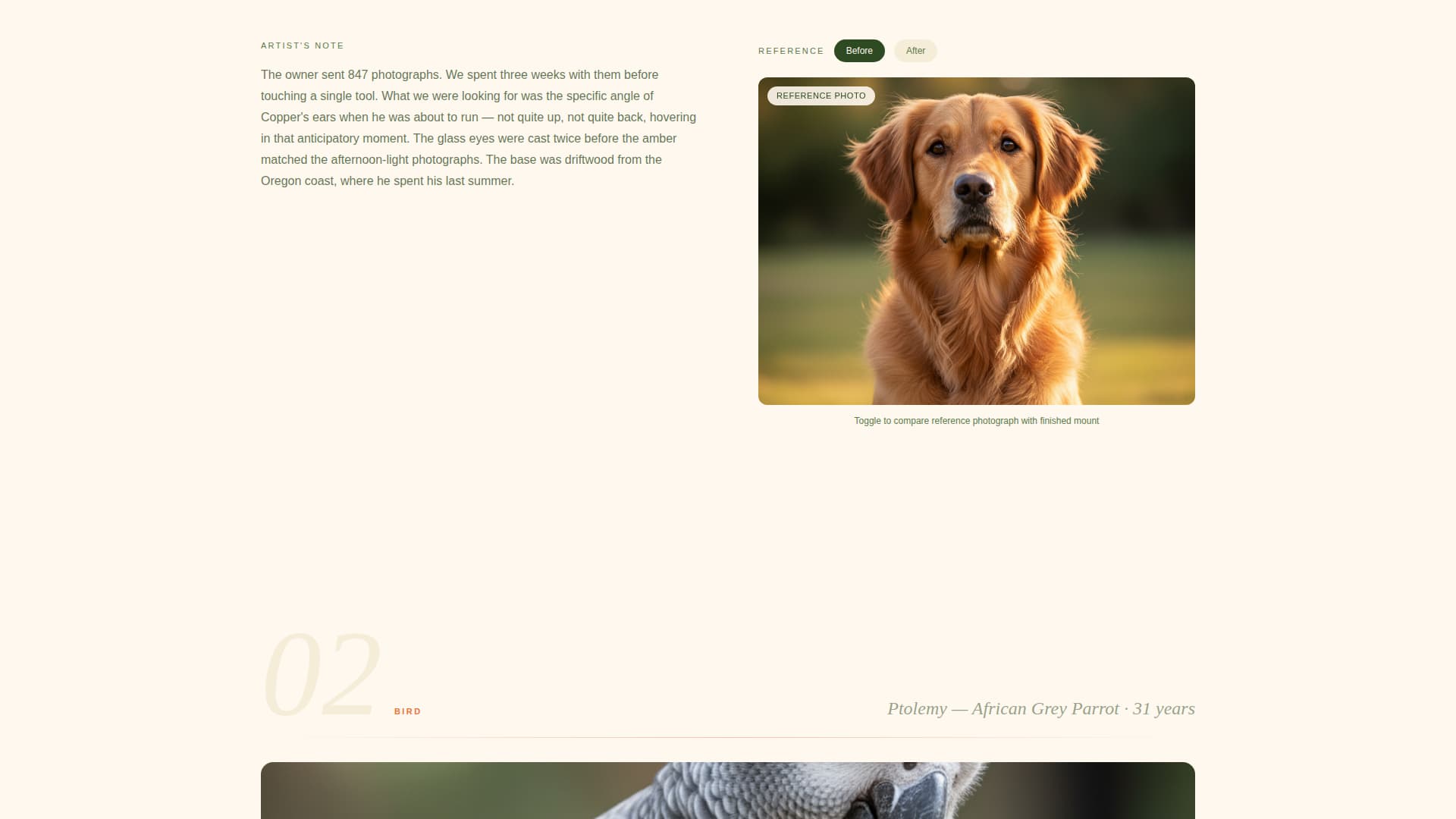 Preserve - Heartfelt Taxidermy Landing Page Template