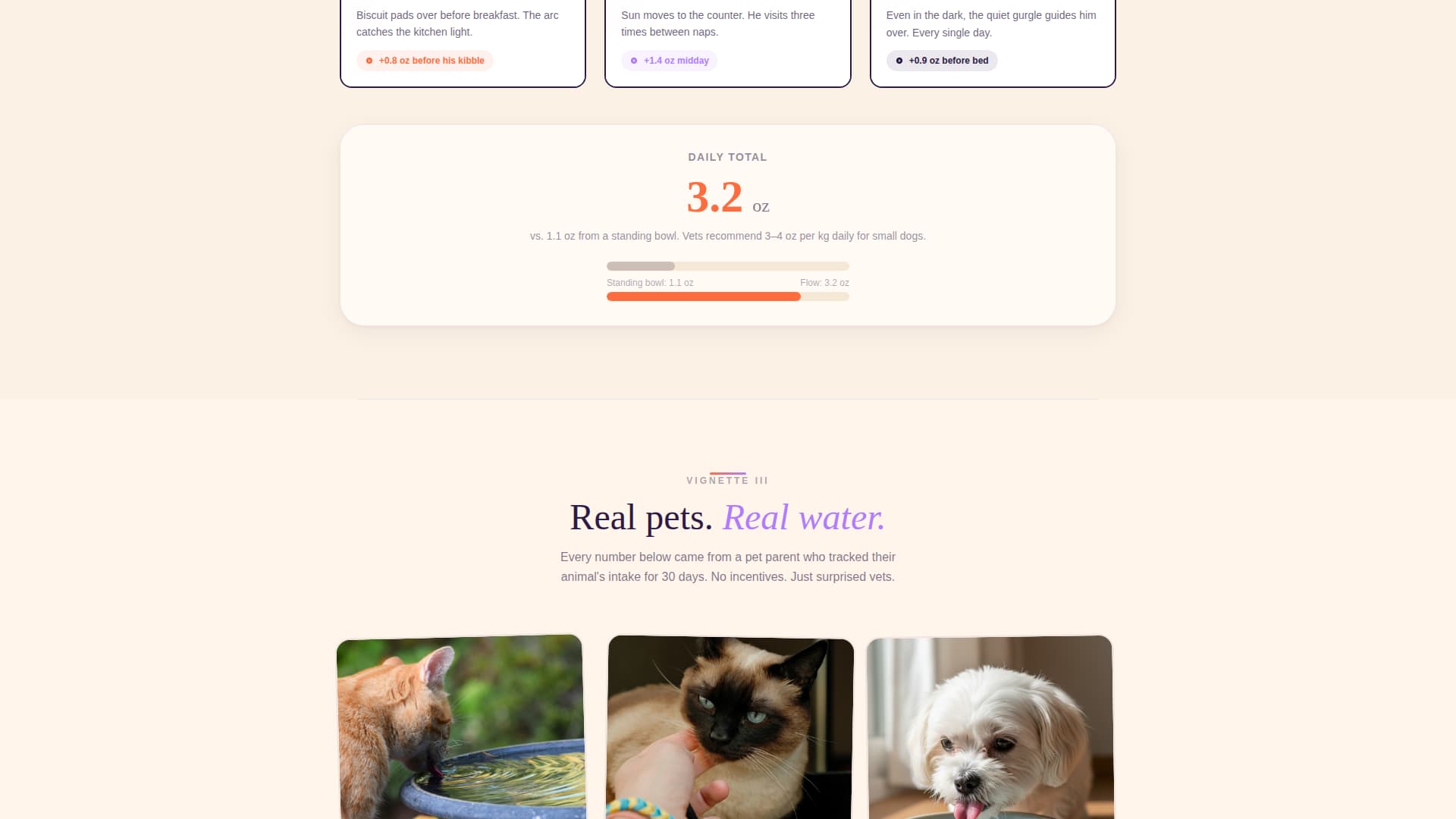 Flow - Charming Petfountain Landing Page Template