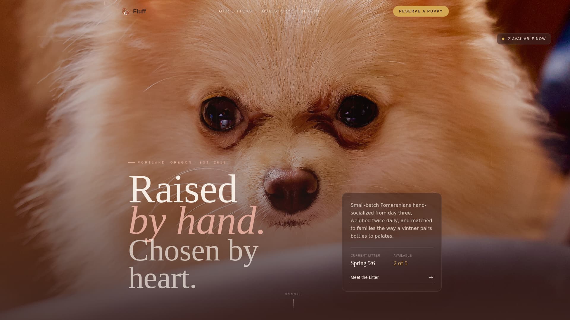 Fluff - Artisan Pomeranian Landing Page Template