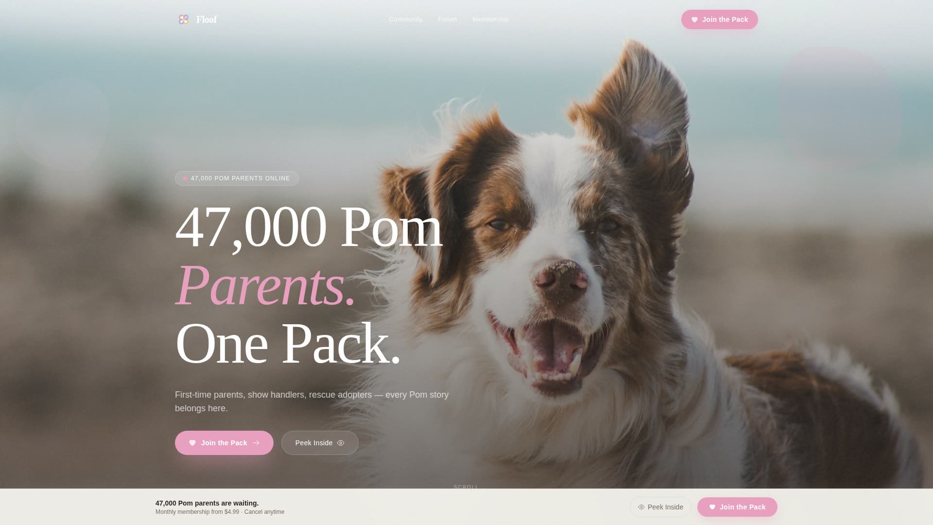 Floof - Thriving Pomeranian Landing Page Template