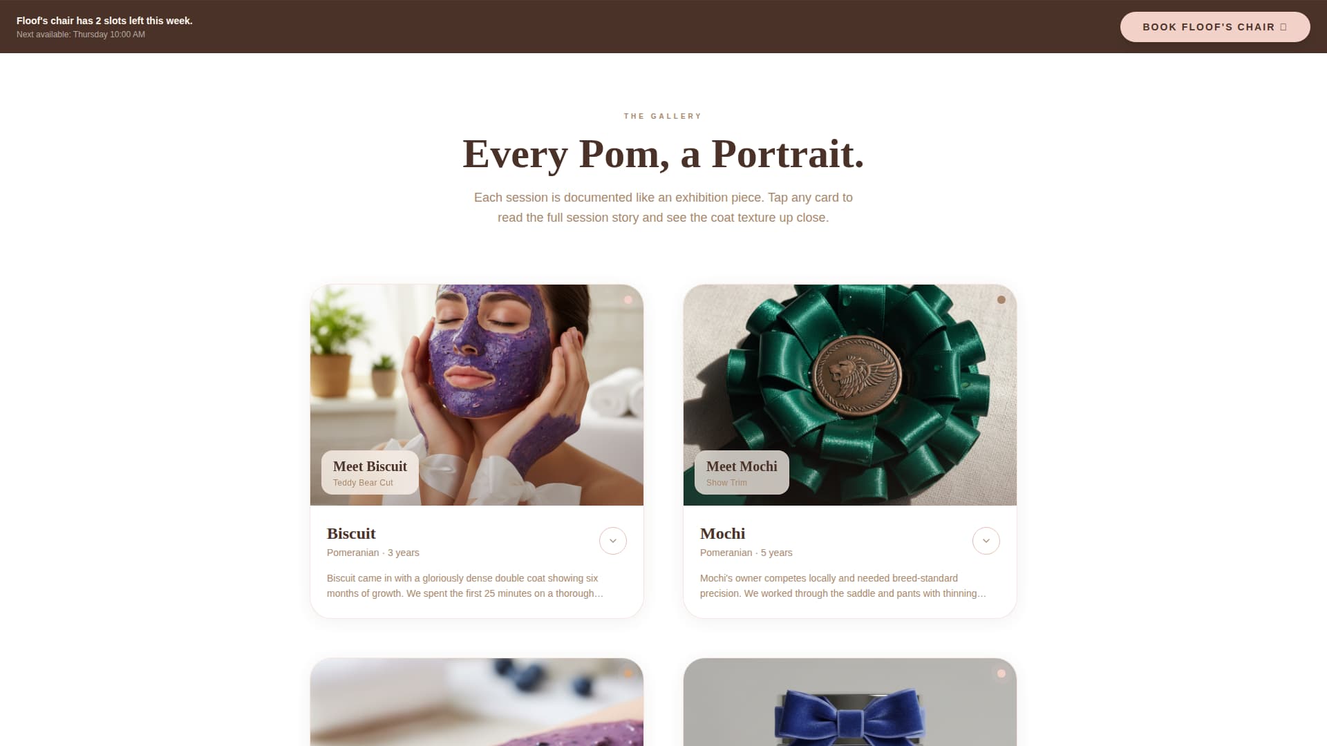 Floof - Artisan Grooming Landing Page Template