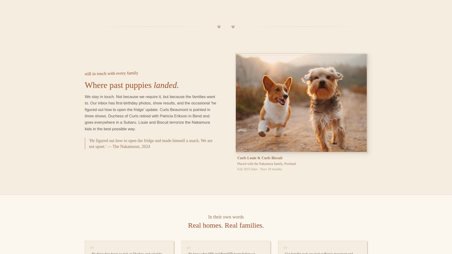 Dog Professional Website Template