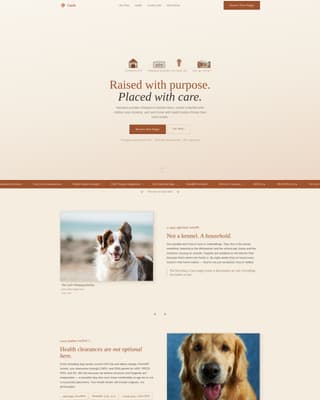 Dog Professional Website Template