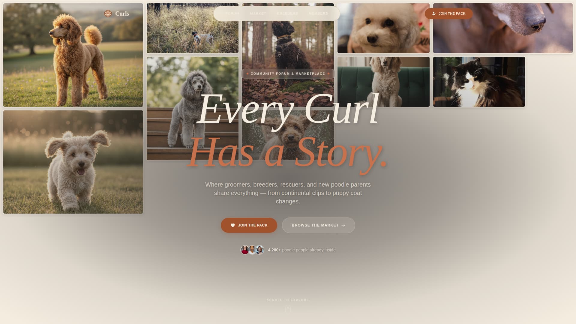 Dog Professional Website Template