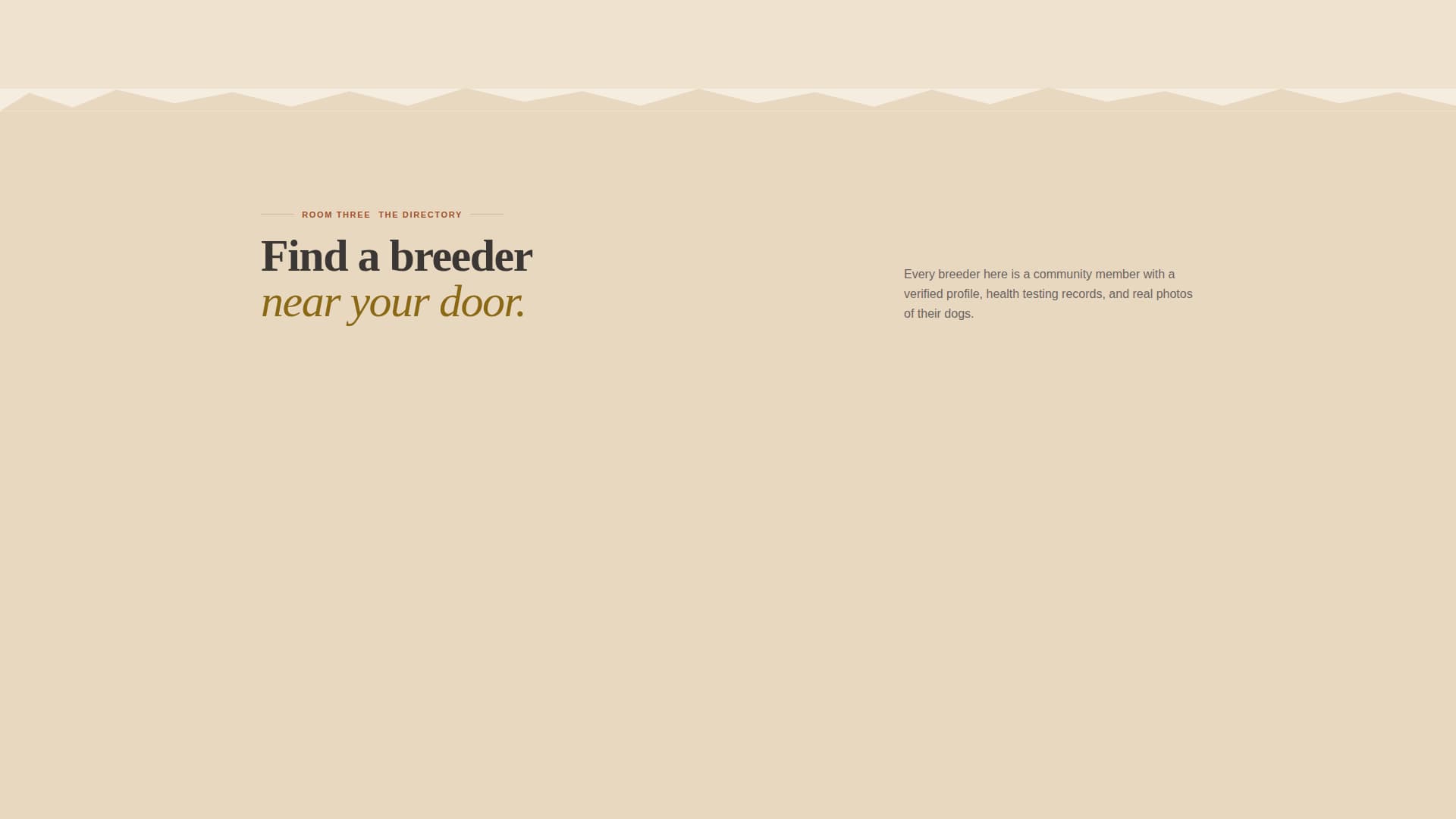 Dog Professional Website Template