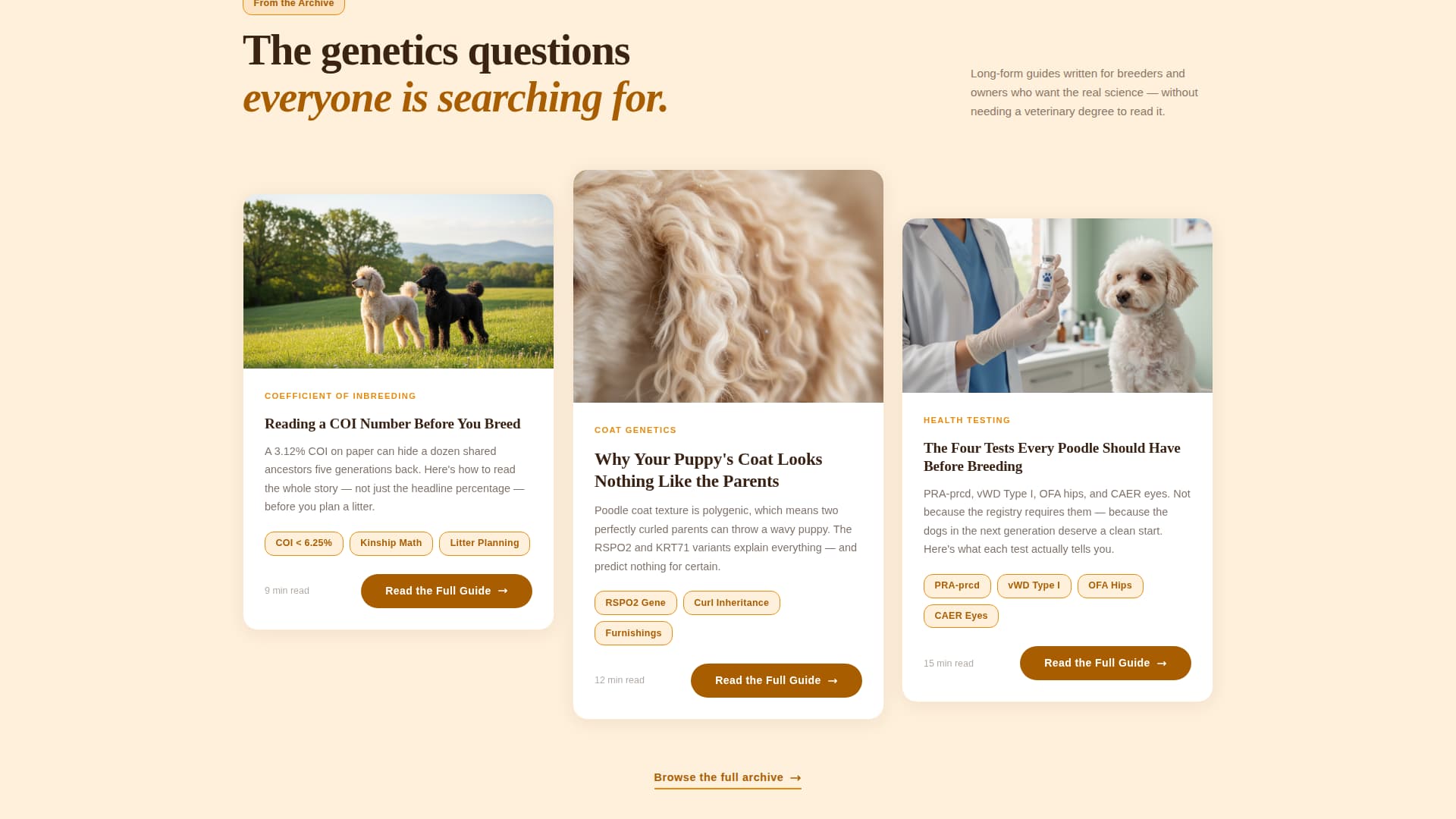 Dog Blog Website Template