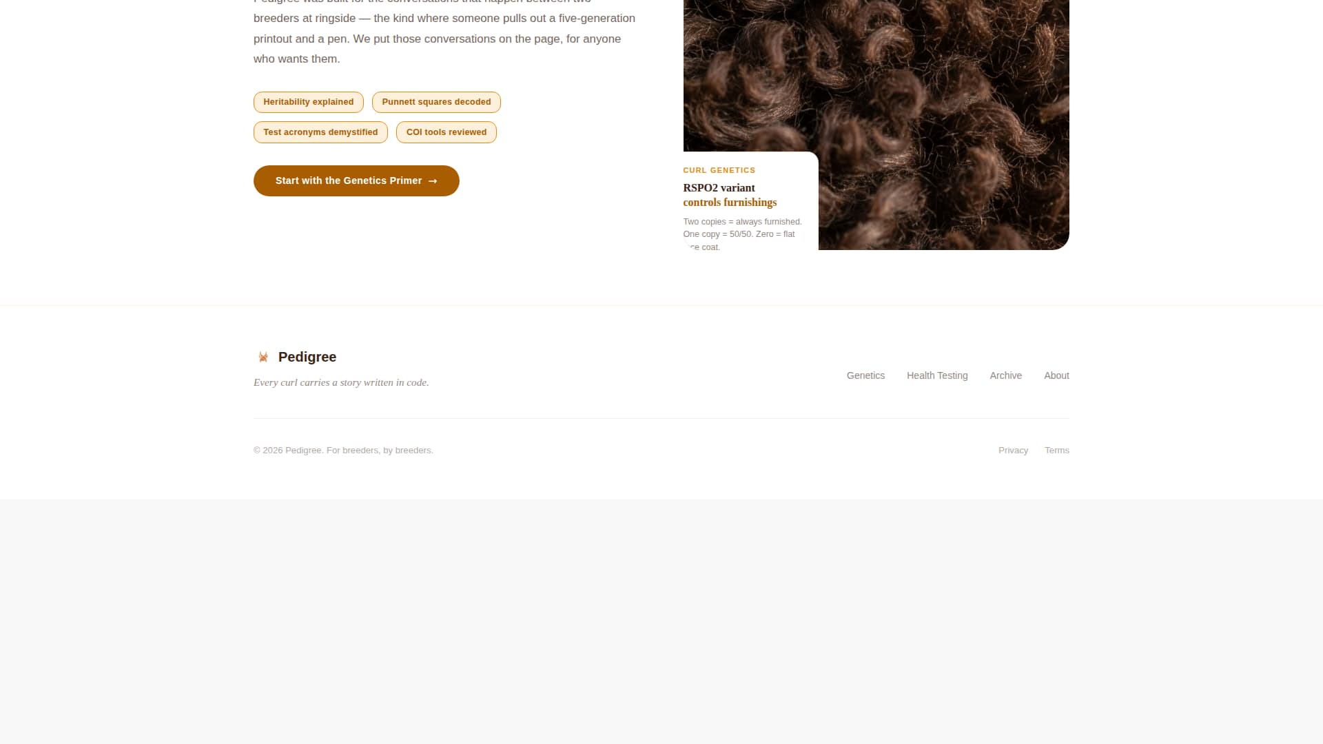 Dog Blog Website Template