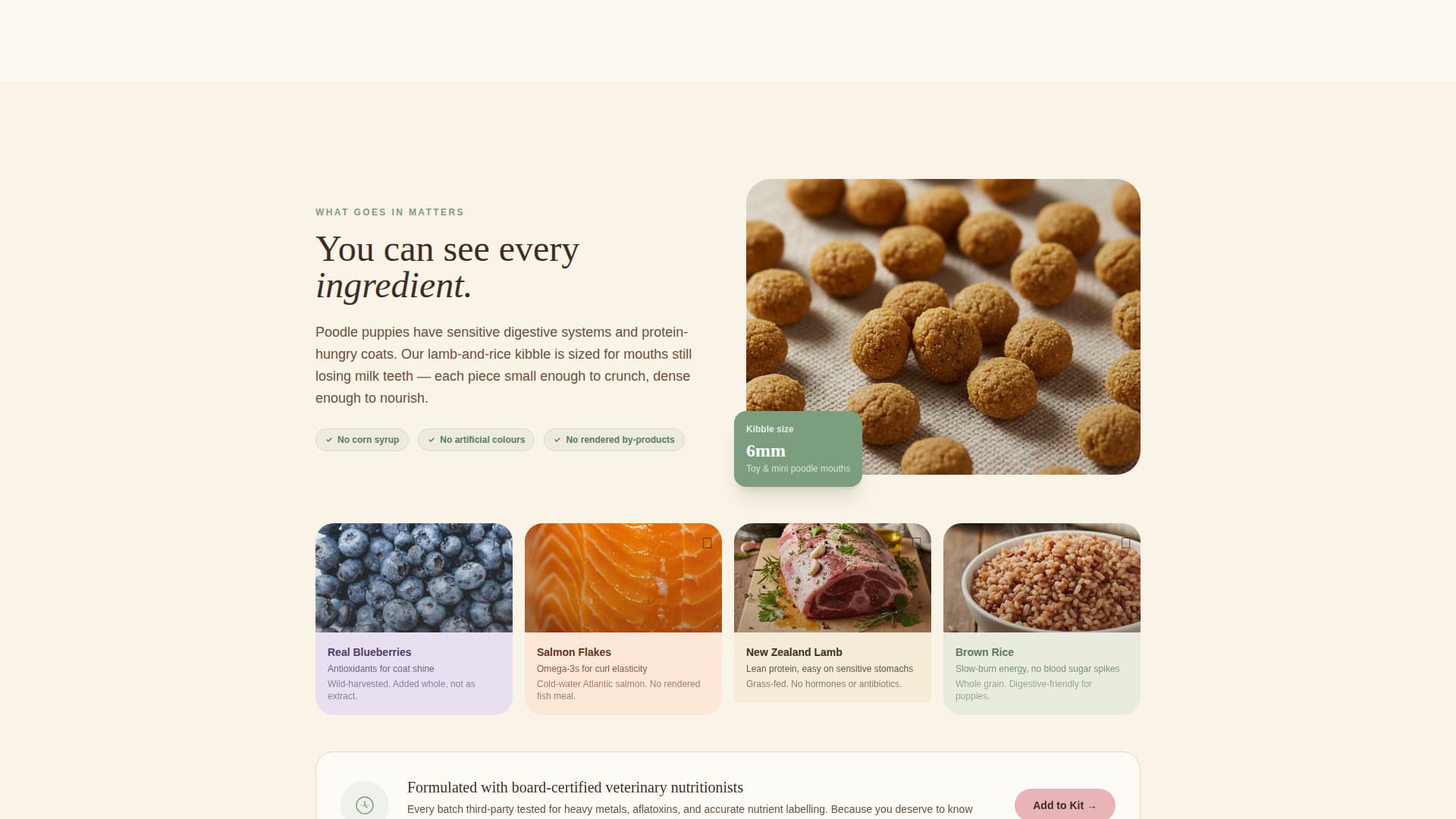 Dog Professional Website Template