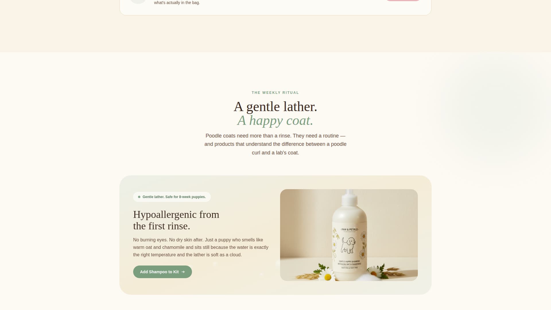 Dog Professional Website Template