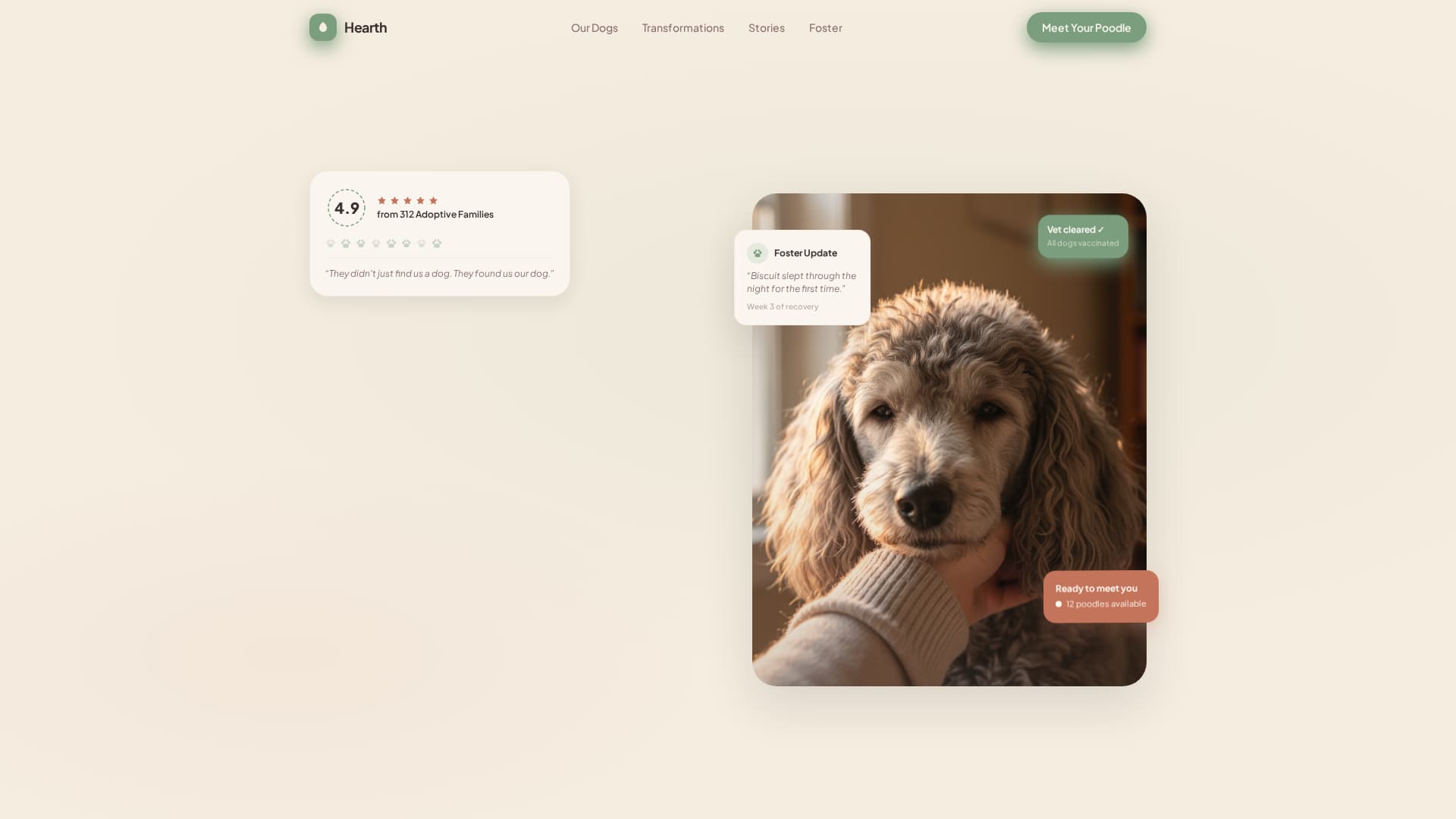 Dog Professional Website Template