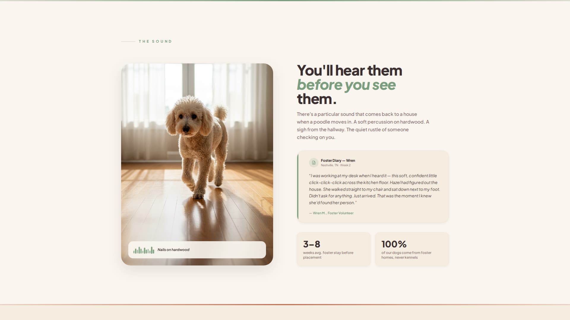 Dog Professional Website Template