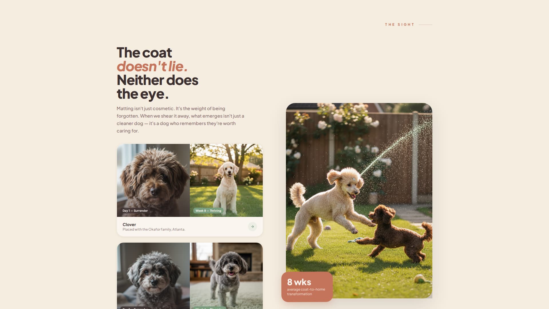 Dog Professional Website Template