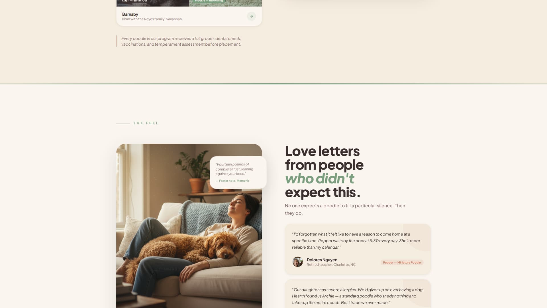 Dog Professional Website Template