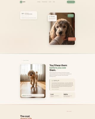 Dog Professional Website Template