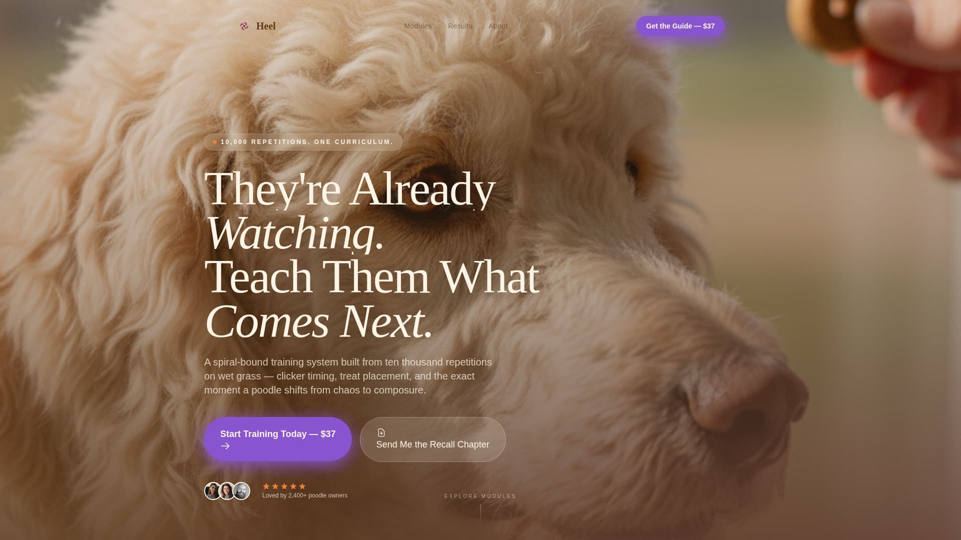 Dog Professional Website Template