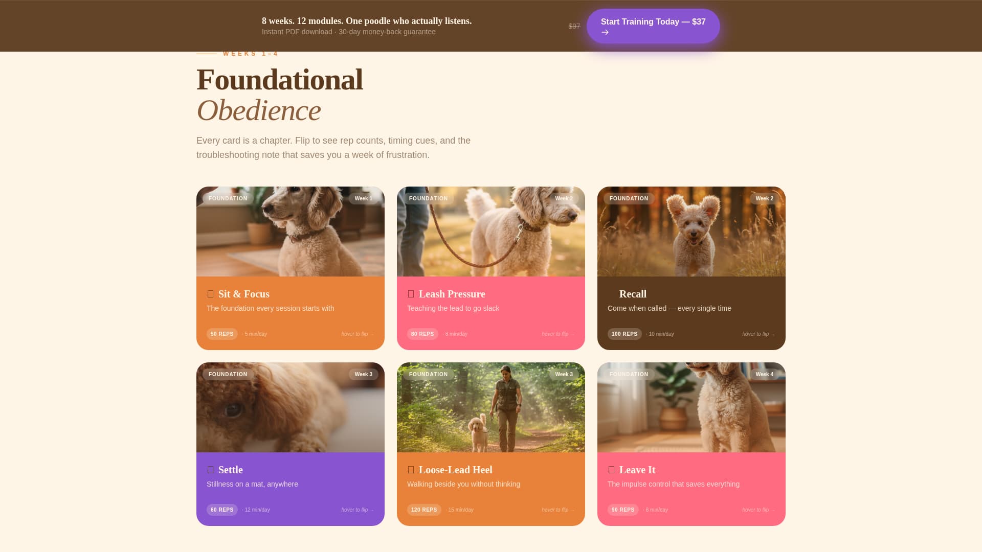 Dog Professional Website Template