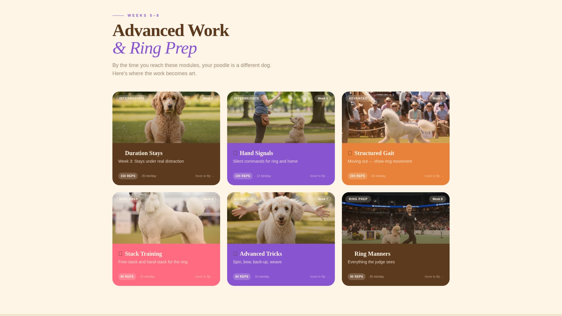 Dog Professional Website Template