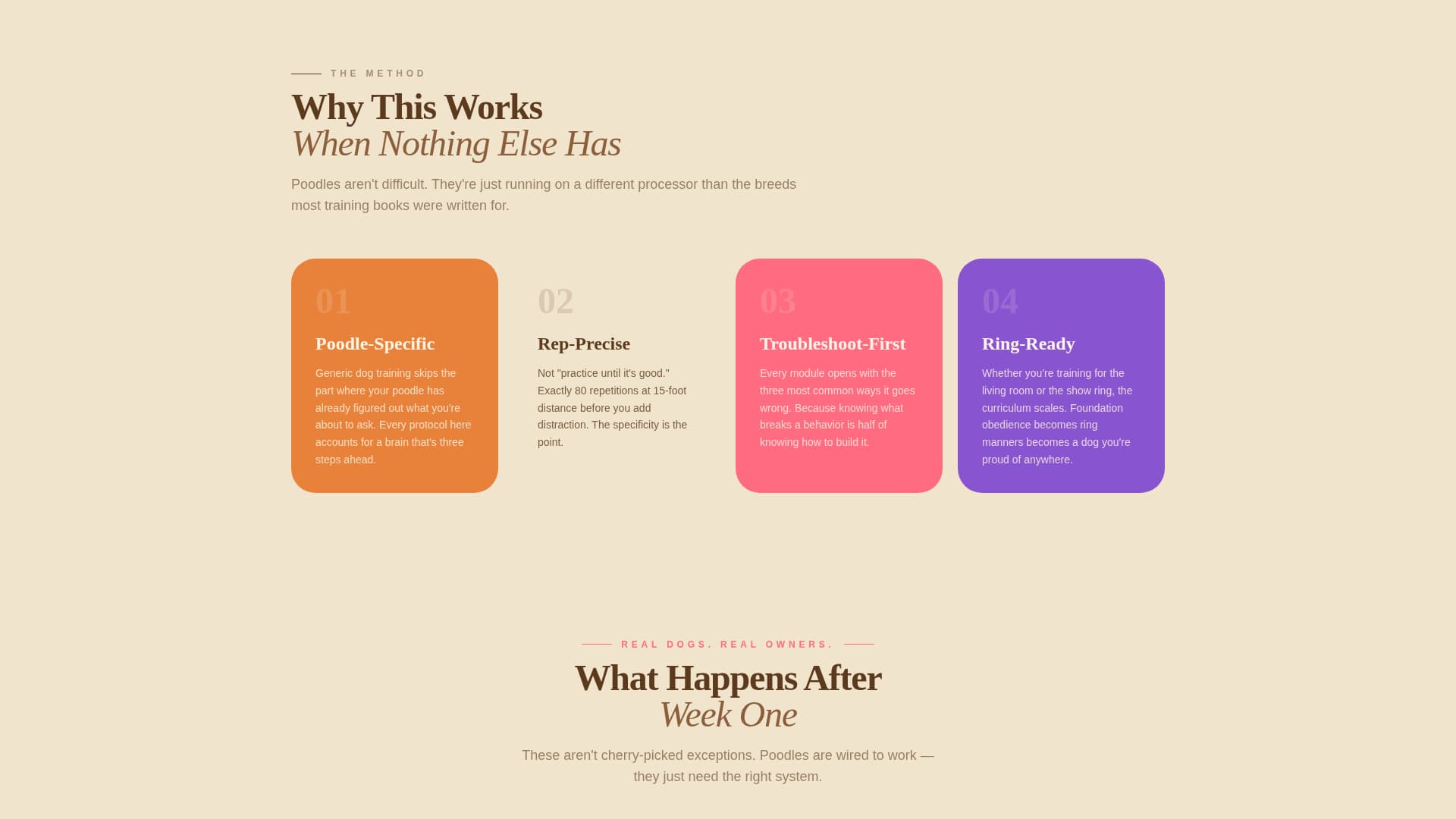 Dog Professional Website Template