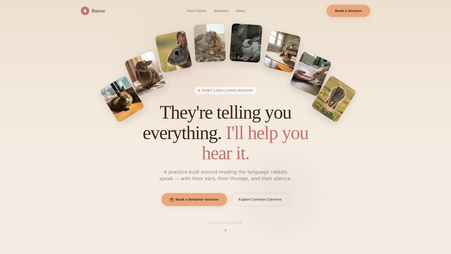 Burrow - Trusted Rabbitbehavior Landing Page Template
