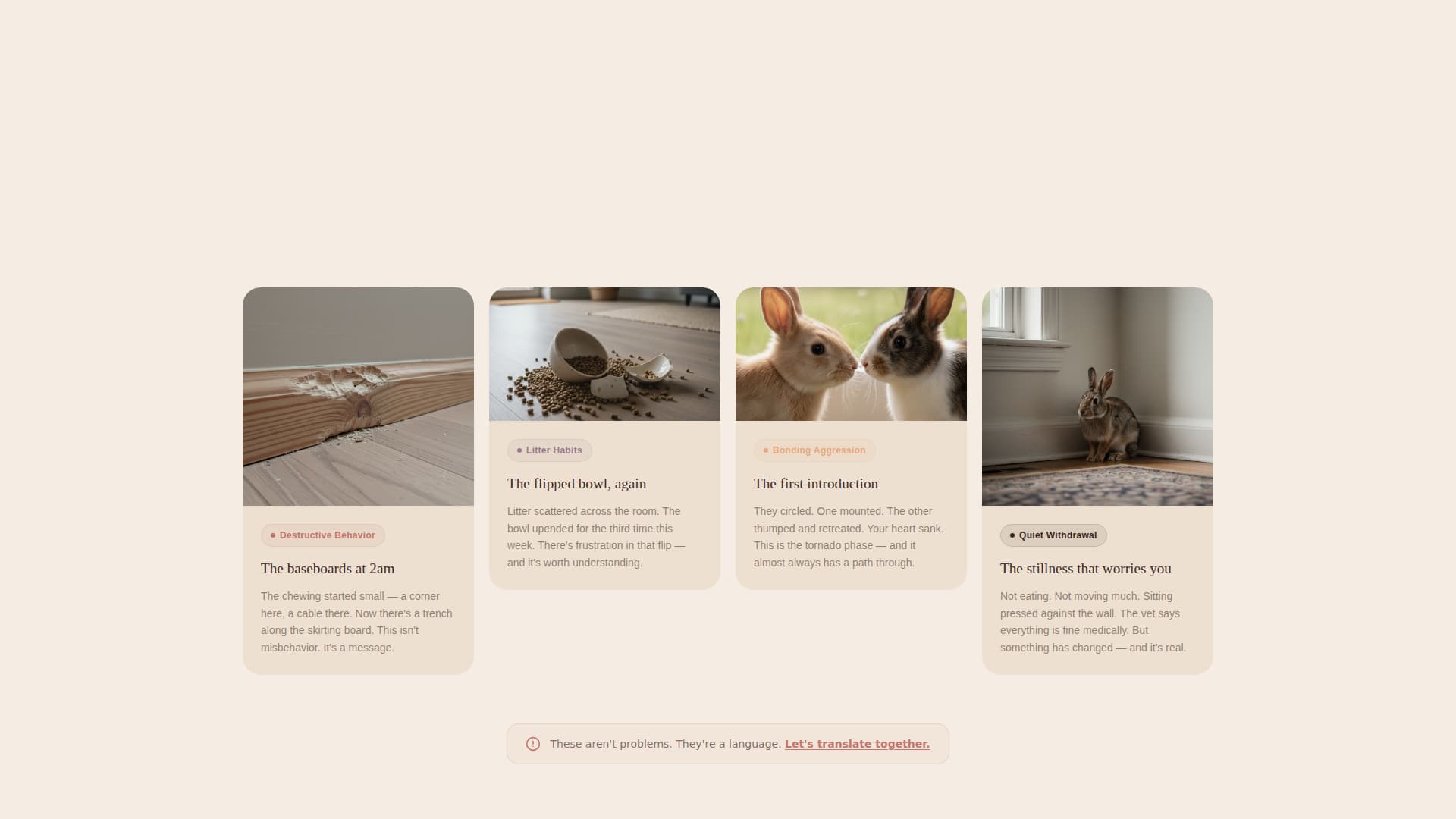 Burrow - Trusted Rabbitbehavior Landing Page Template