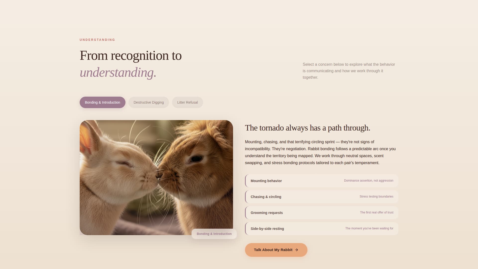 Burrow - Trusted Rabbitbehavior Landing Page Template