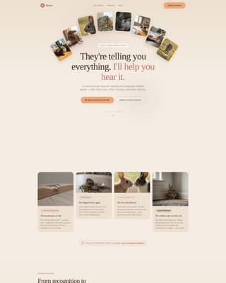Burrow - Trusted Rabbitbehavior Landing Page Template