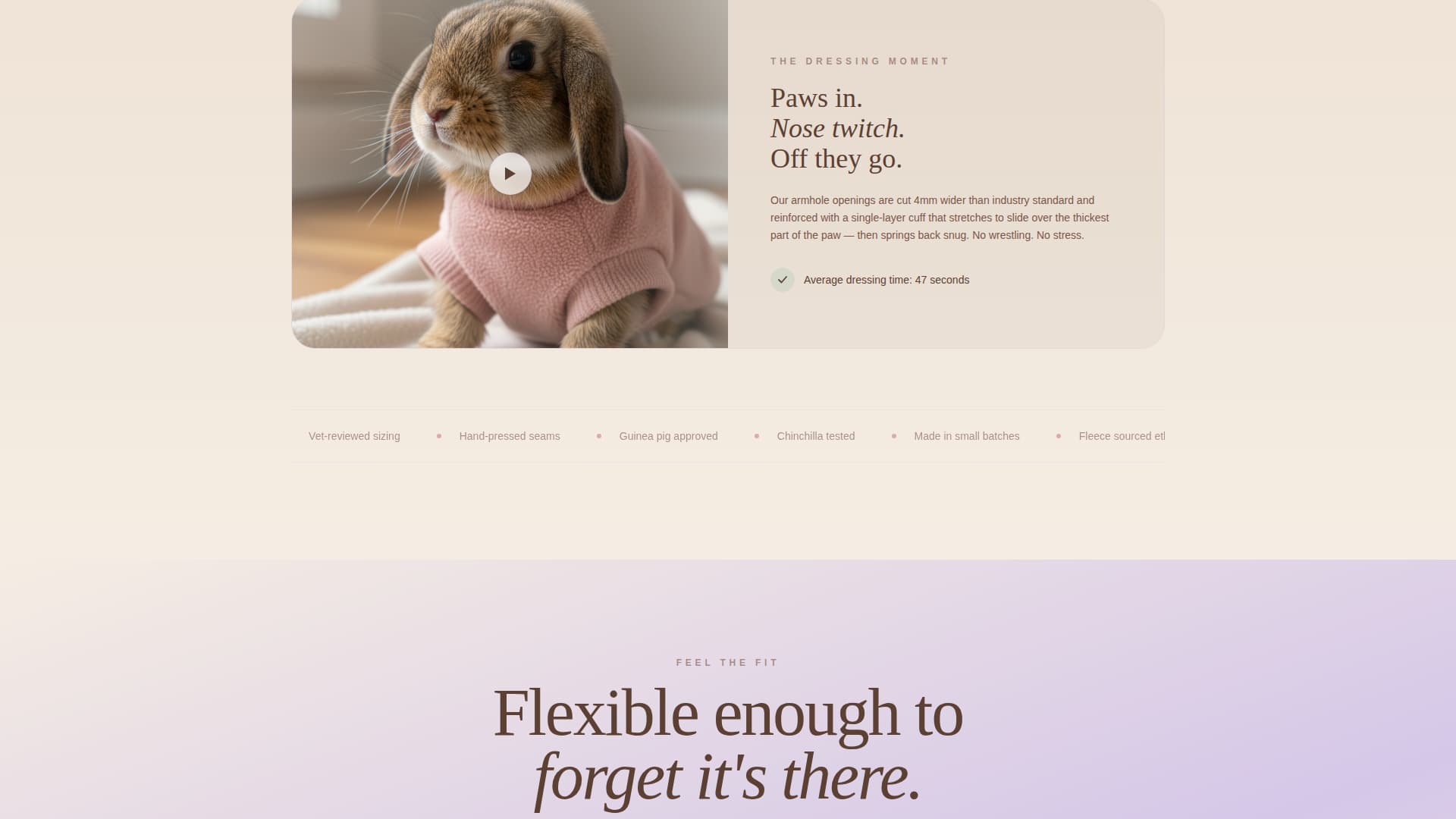 Burrow - Cozy Smallanimal Landing Page Template
