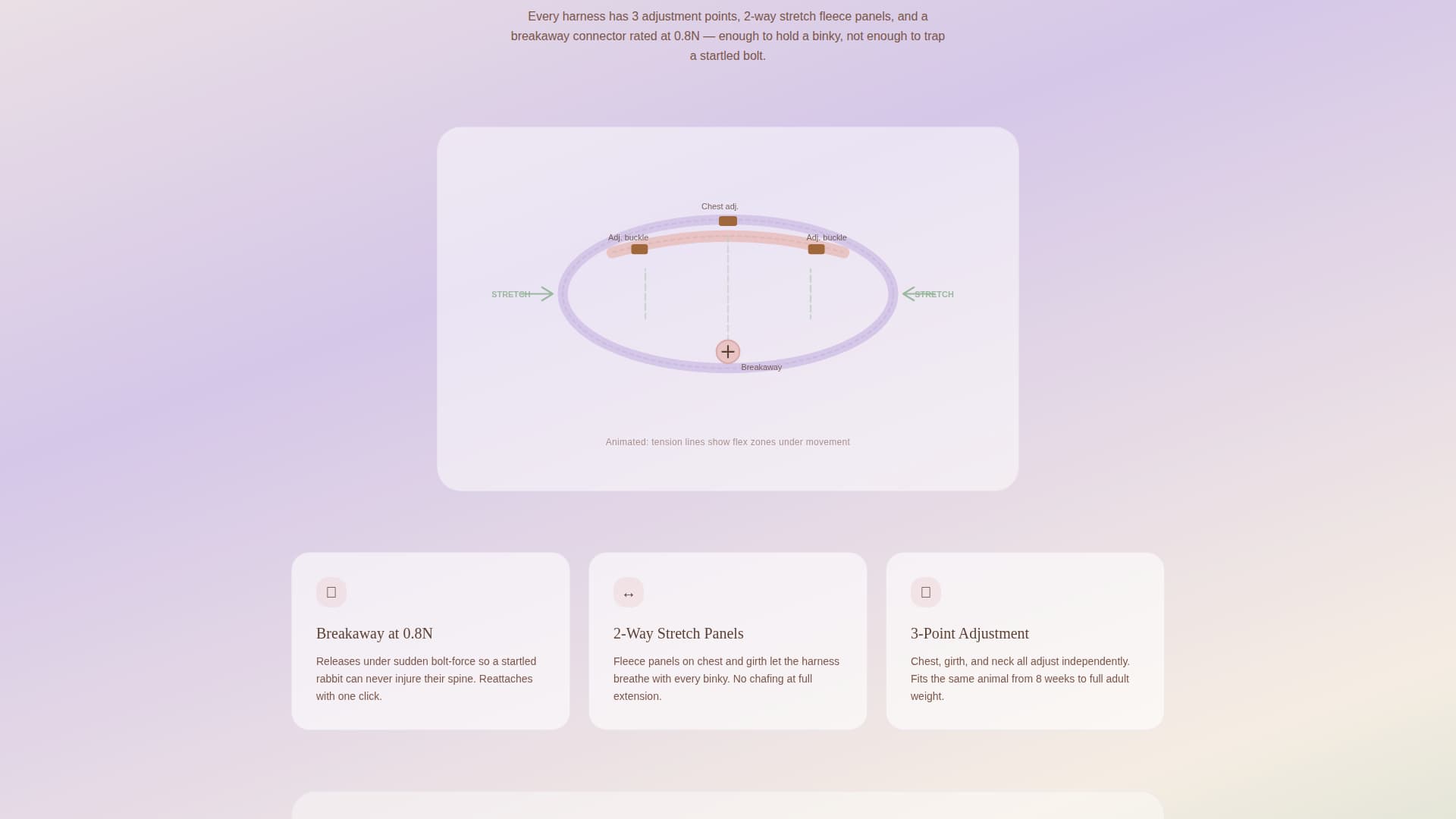Burrow - Cozy Smallanimal Landing Page Template