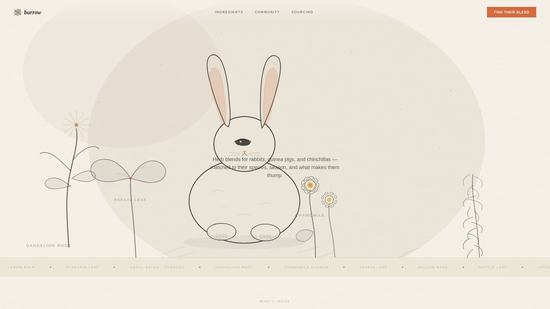 Burrow - Artisan Smallanimal Landing Page Template