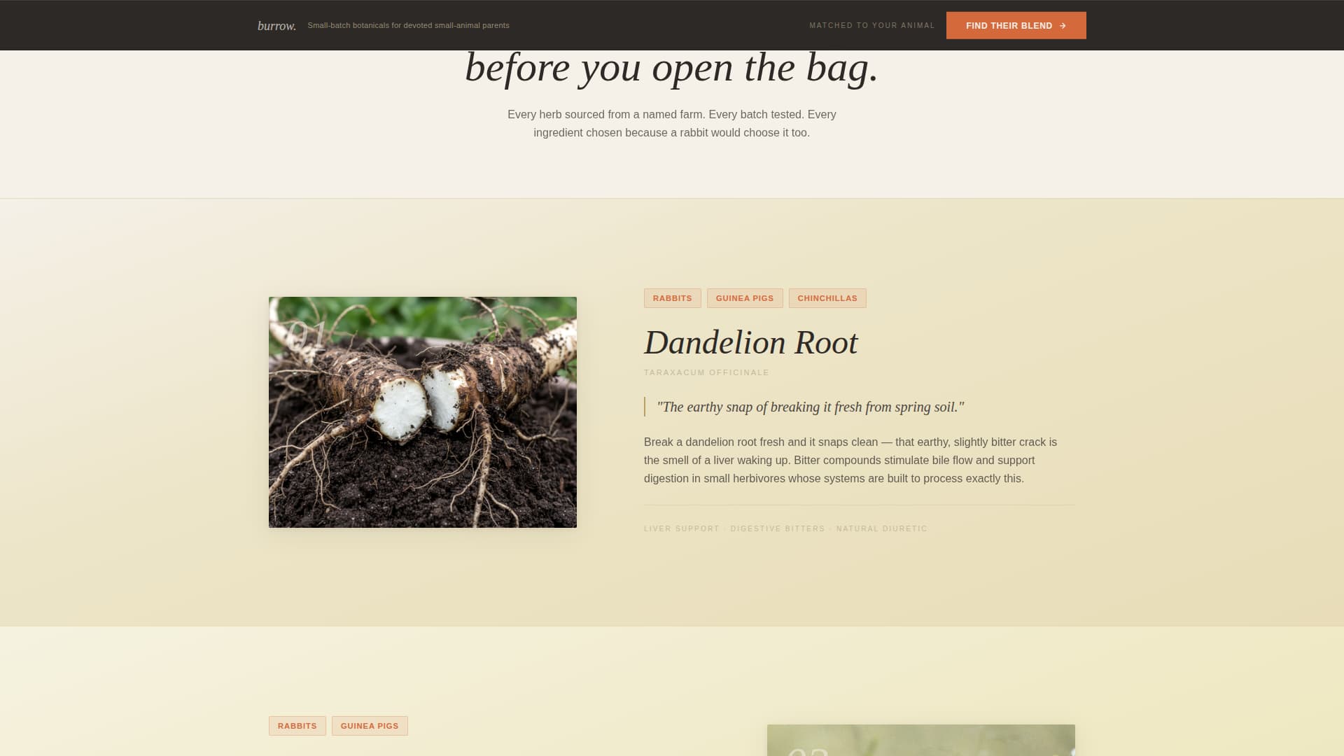 Burrow - Artisan Smallanimal Landing Page Template
