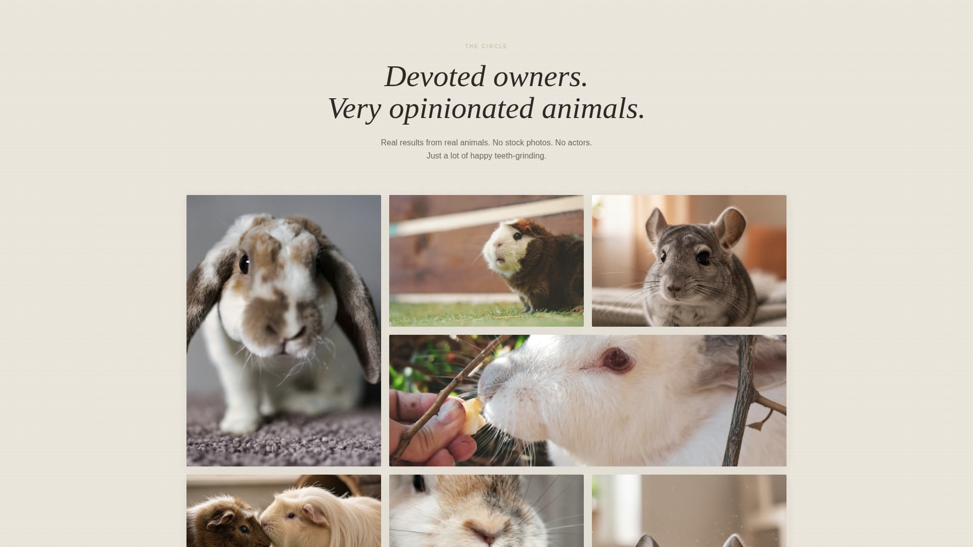 Burrow - Artisan Smallanimal Landing Page Template