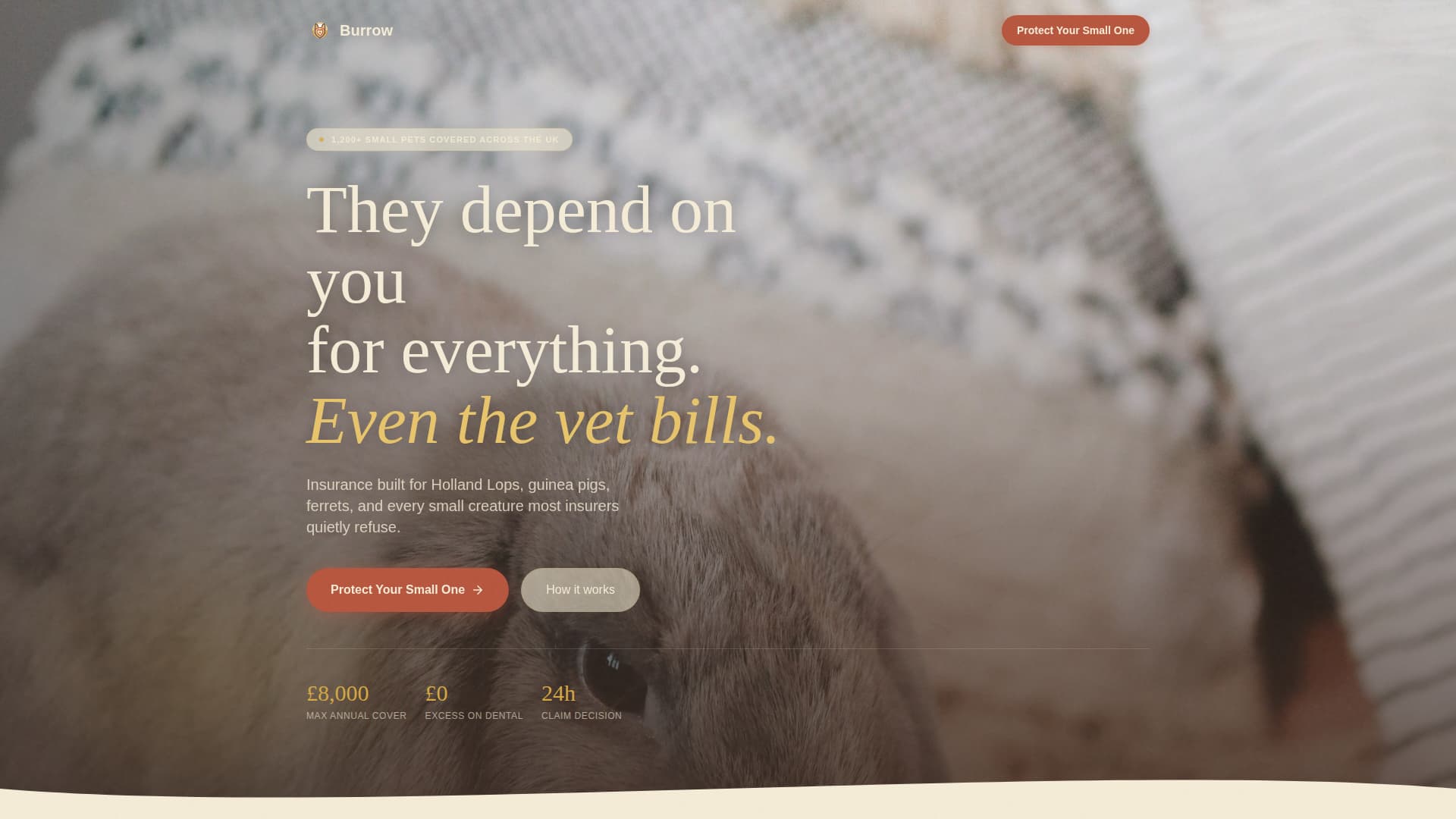 Burrow - Heartfelt Rabbitinsurance Landing Page Template