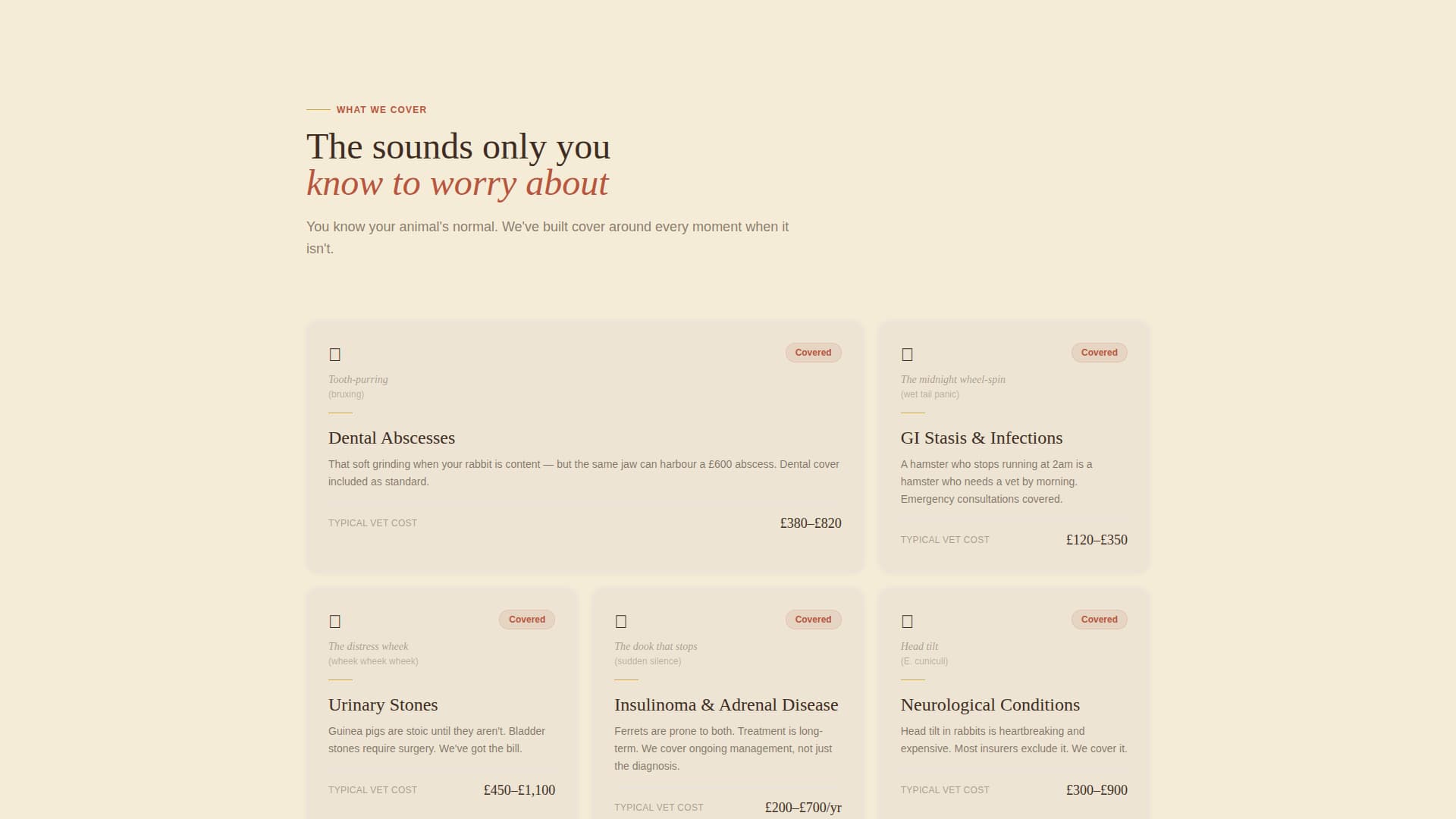 Burrow - Heartfelt Rabbitinsurance Landing Page Template