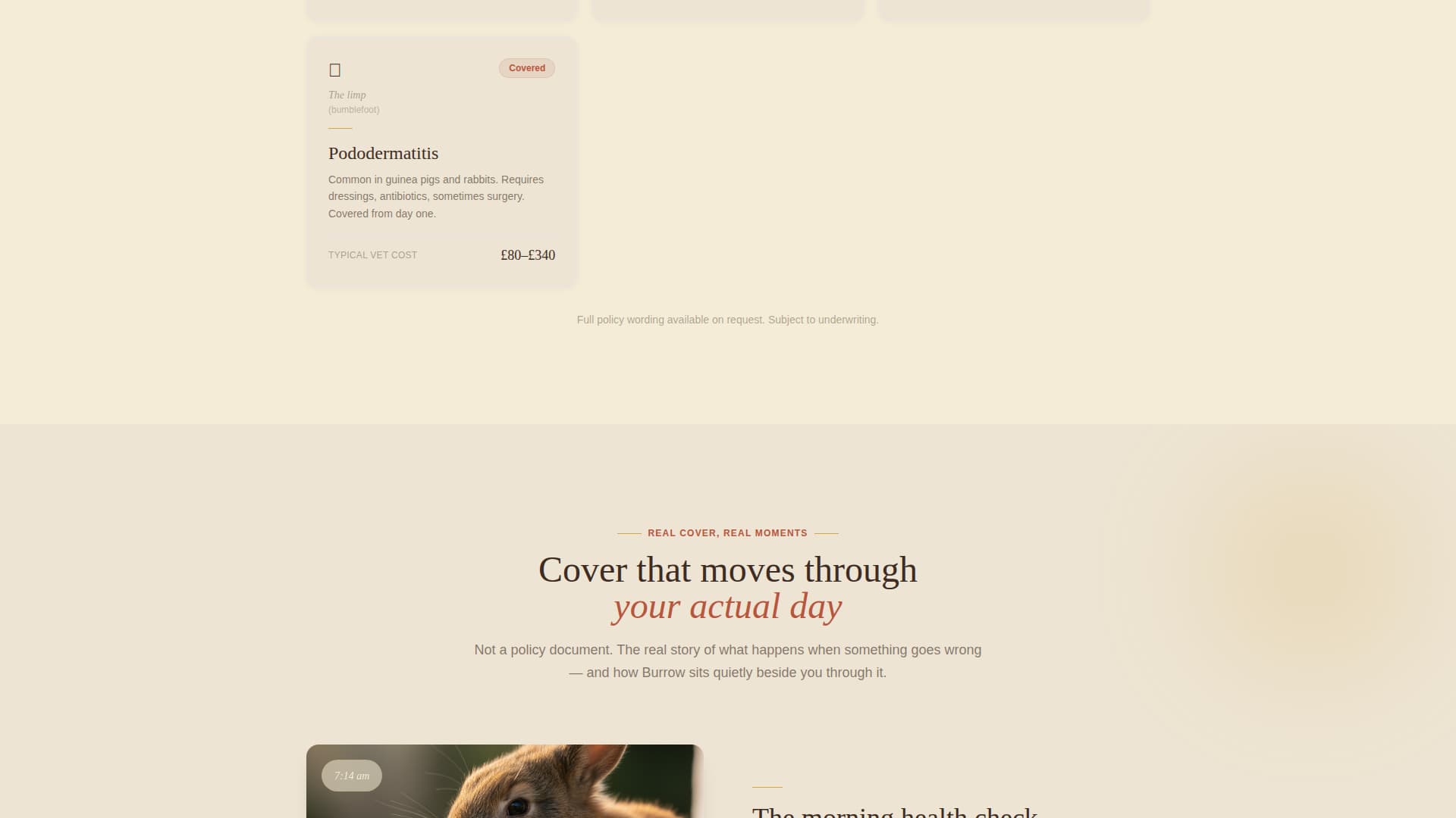 Burrow - Heartfelt Rabbitinsurance Landing Page Template