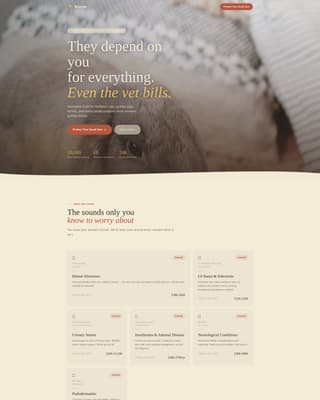 Burrow - Heartfelt Rabbitinsurance Landing Page Template