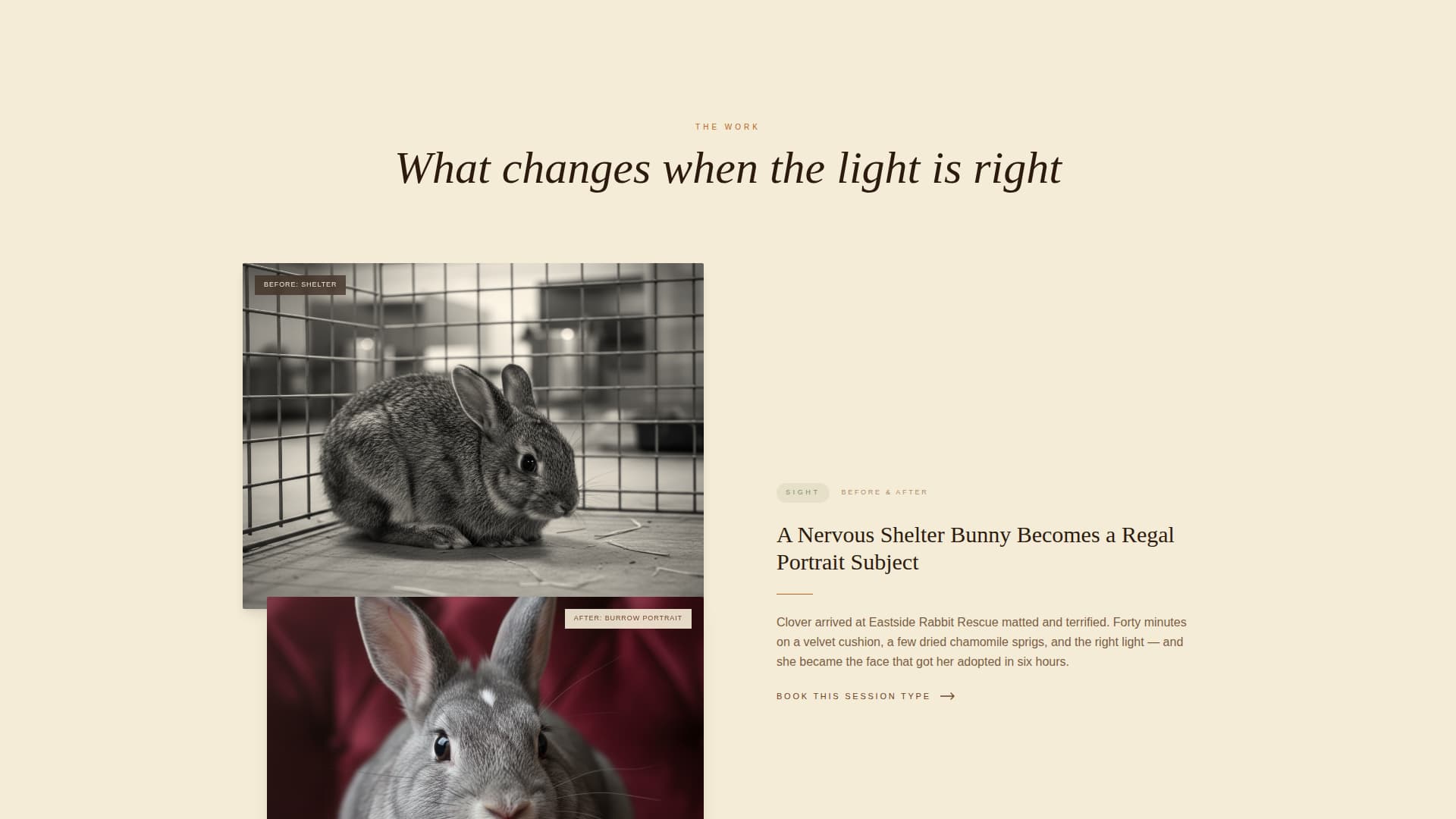 Burrow - Enchanting Petphotography Landing Page Template