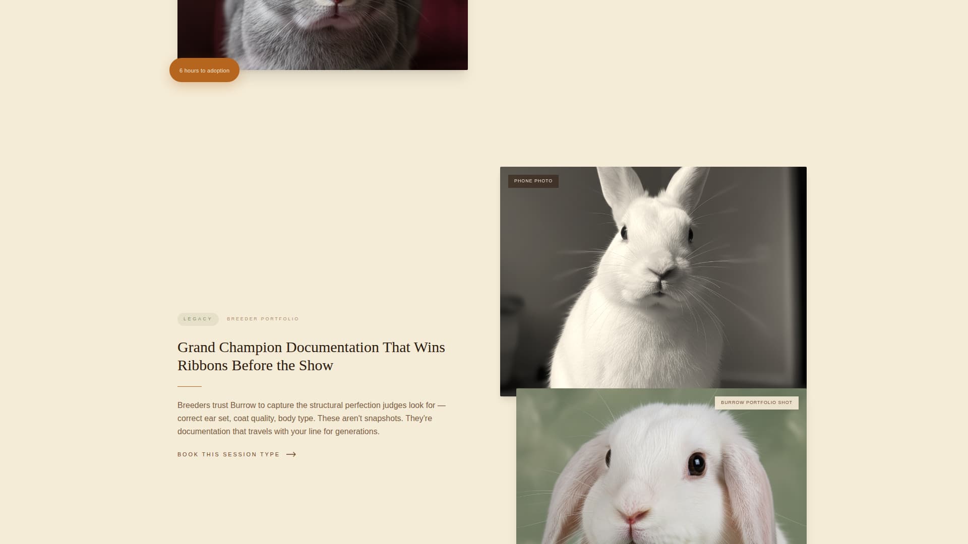 Burrow - Enchanting Petphotography Landing Page Template