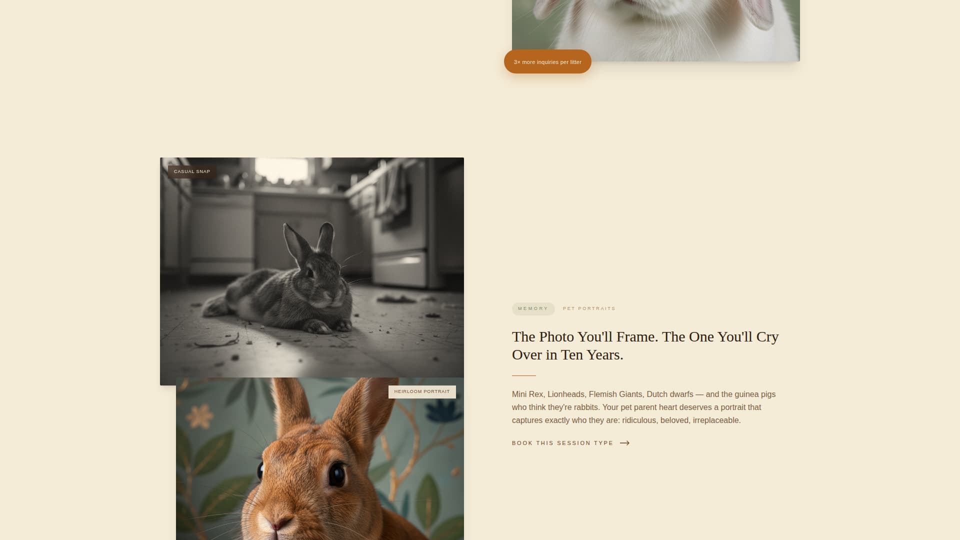Burrow - Enchanting Petphotography Landing Page Template
