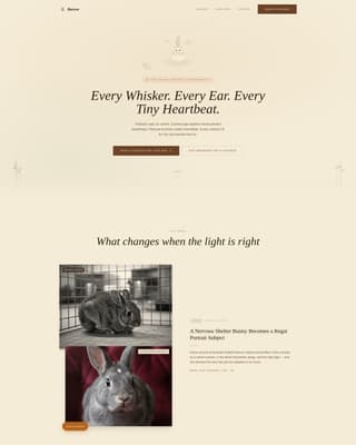 Burrow - Enchanting Petphotography Landing Page Template