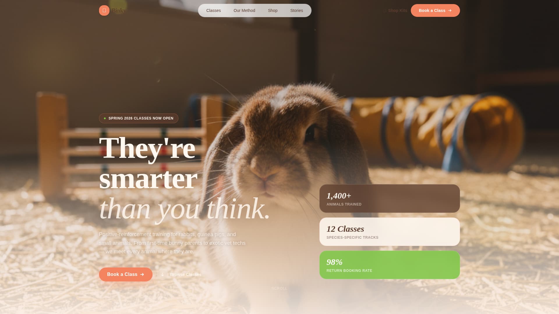 Binky - Playful Smallanimal Landing Page Template