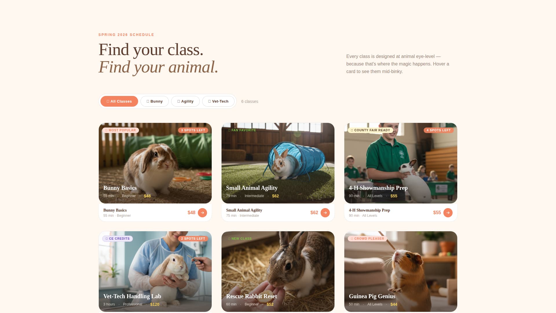 Binky - Playful Smallanimal Landing Page Template