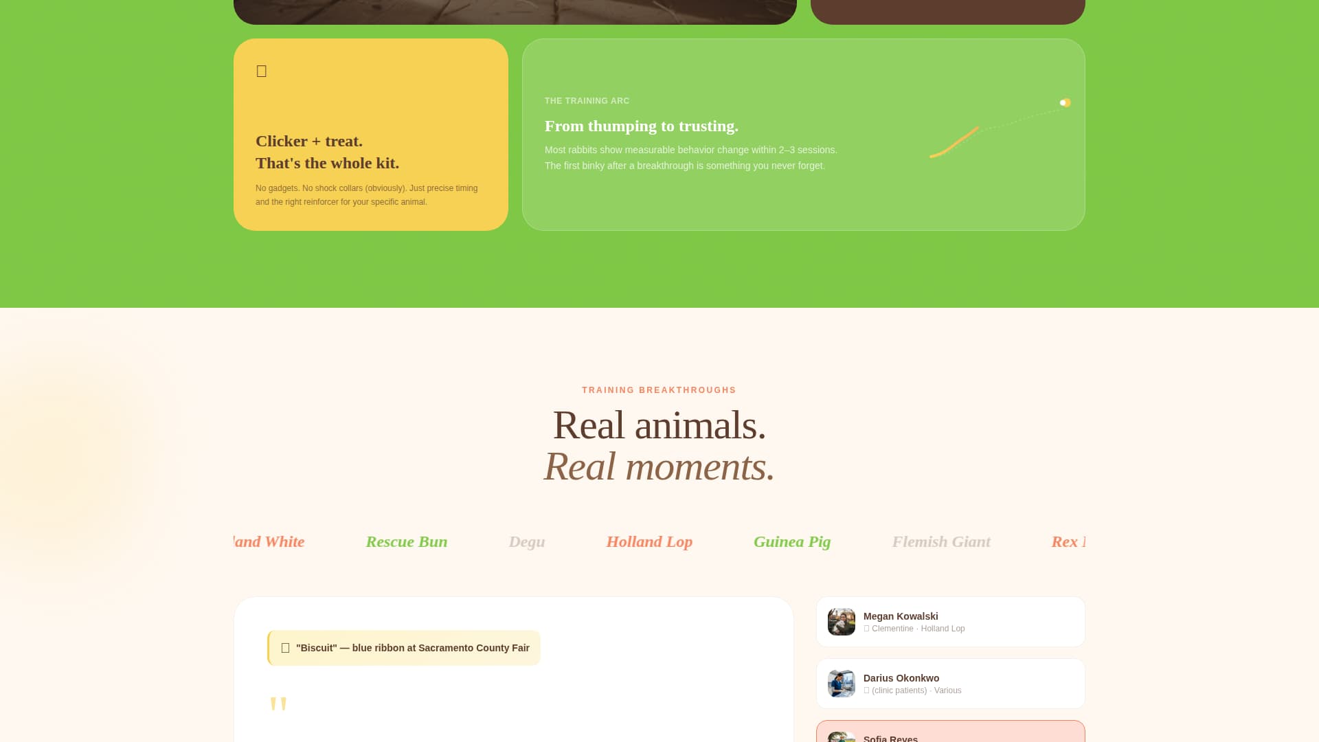 Binky - Playful Smallanimal Landing Page Template